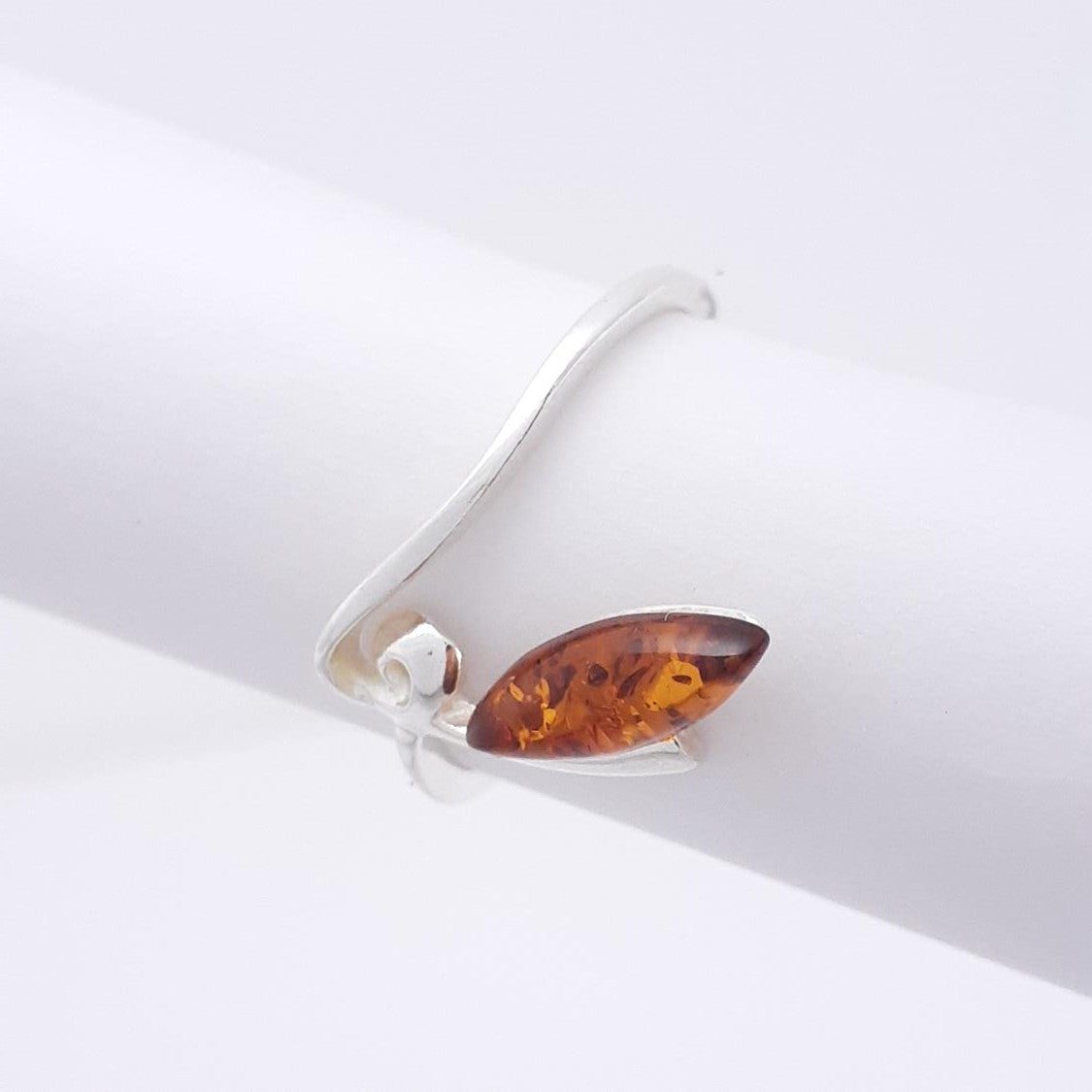 ANILLO ASUNCIÓN