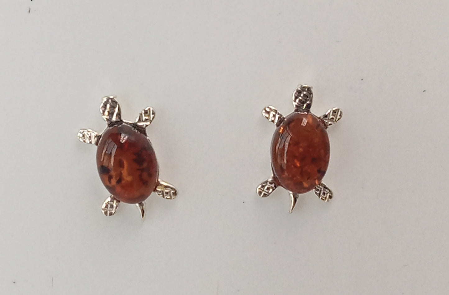 ARETES TORTUGUITA