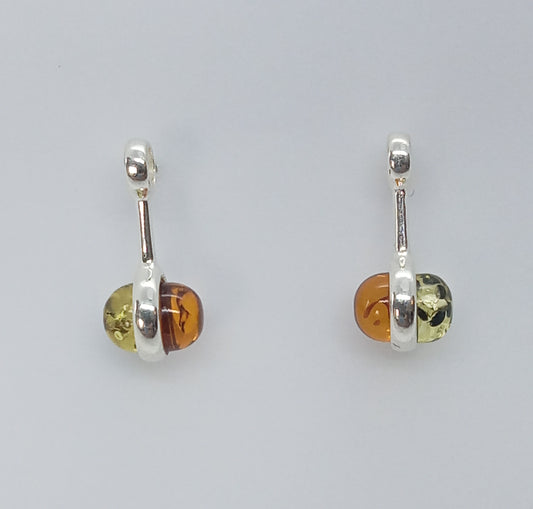 ARETES BICOLOR