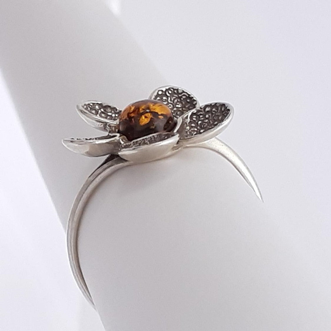 ANILLO AURELIA